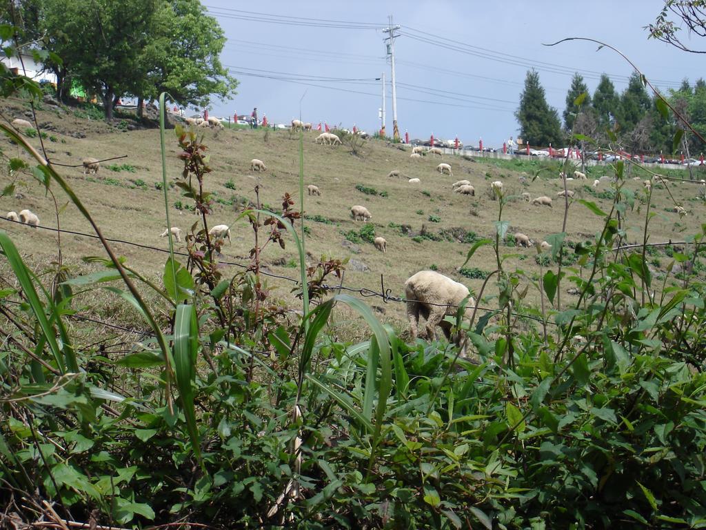 Winlu Vacation Farm Villa Renai Buitenkant foto