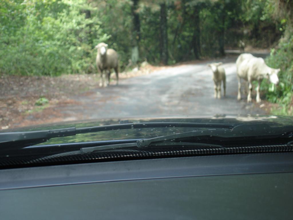 Winlu Vacation Farm Villa Renai Buitenkant foto